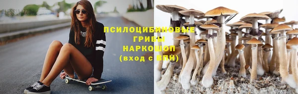 каннабис Аркадак
