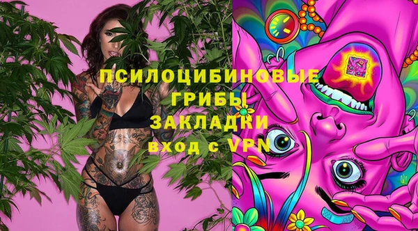 мет Арсеньев