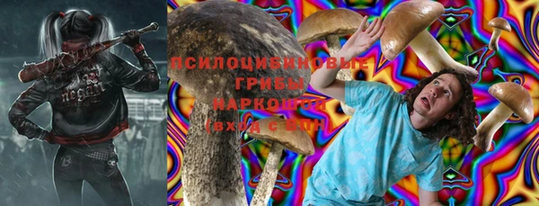 мет Арсеньев