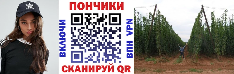 Купить  Батайск  Бошки Шишки семена 